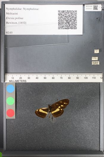 Media type: image;   Entomology 101011